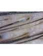 Dinolite digitaalinen trikoskooppi BASIC trikoskooppi DinoLite digitaalinen trikoskooppi MEDL3H