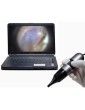 Video Otoscopio Dino Lite Earscope PROOtoscopi DinoLite MEDL4E