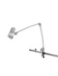 Waldmann Halux N30-1 P F1 vierasvalaisinWaldmann D15.994.000 vierasvalaisin