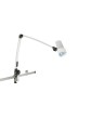 Waldmann Halux N30-1 P F1 vierasvalaisinWaldmann D15.994.000 vierasvalaisin
