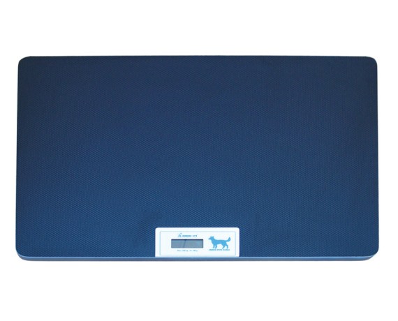 Veterinærvægt til store dyr Dyrlægepraksismøbler Gima 27259