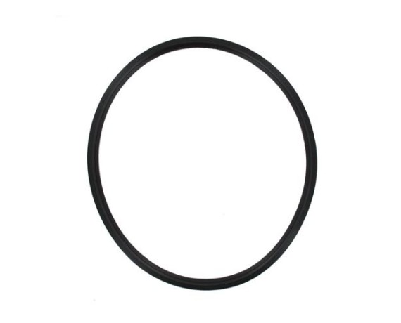Seal for Hydra - Andromeda autoclaves - Europe Autoclaves and Sealers Gima 35671