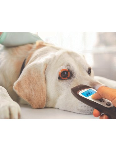 VISIOFOCUS VET Bluetooth Non-Contact Veterinary Thermometer Veterinary equipment Gima 80457