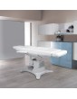 TESERA 4M - electric chair for dermatology and cosmetic surgery LEMI Aesthetic Medicine and Dermatology Chairs Lemi 969