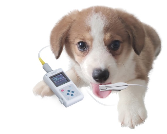 OXY-50 SpO2 veterinær pulsoximeter med software Gima 80800 veterinærinstrumenter