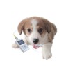 OXY-50 SpO2 Veterinary Pulse Oximeter with Software Veterinary equipment Gima 80800