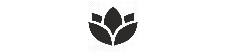 Egészség & Szépség